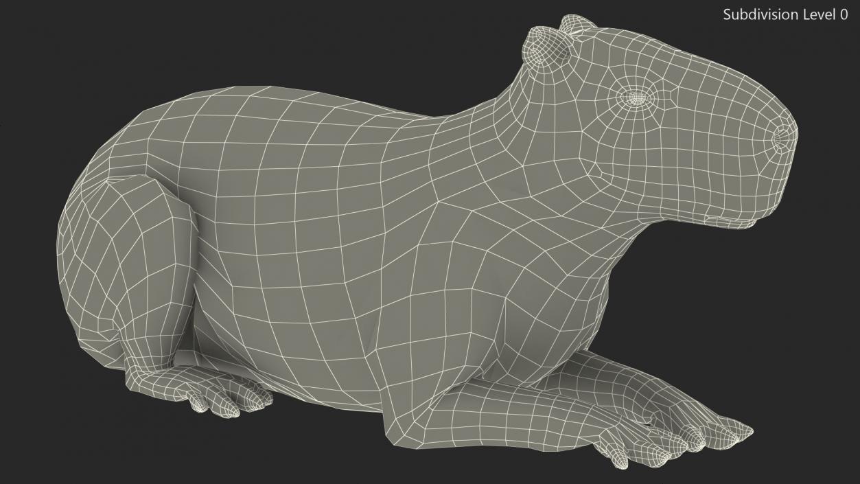 3D Capybara Lying Pose Fur model