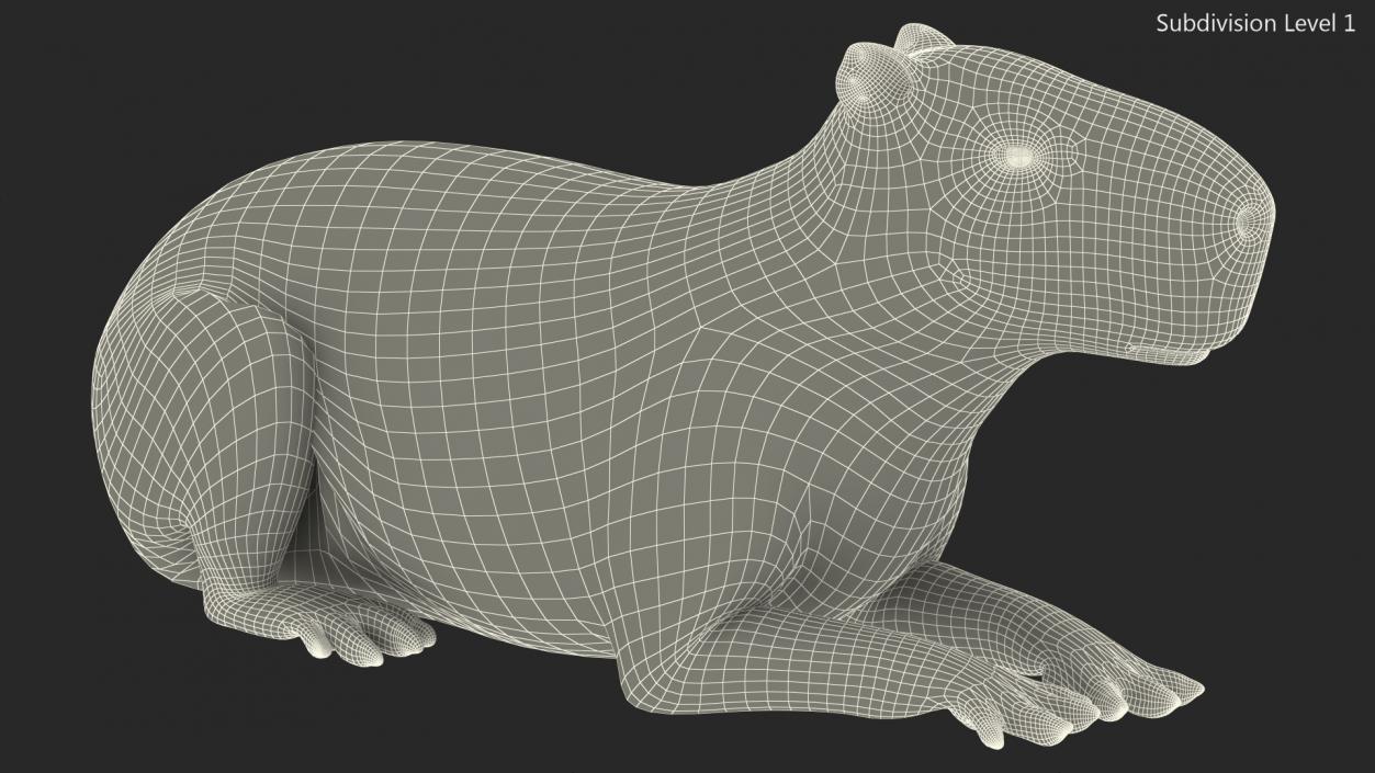 3D Capybara Lying Pose Fur model