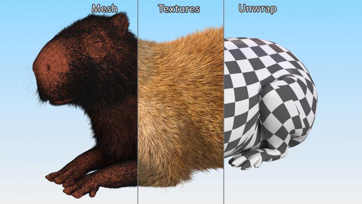 3D Capybara Lying Pose Fur model