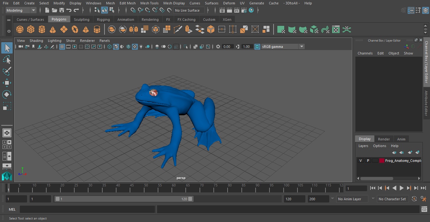 3D Frog Anatomy Complete Body Transparent Skin model