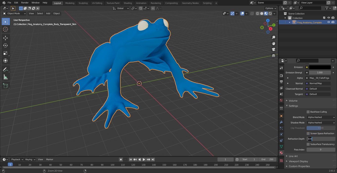 3D Frog Anatomy Complete Body Transparent Skin model