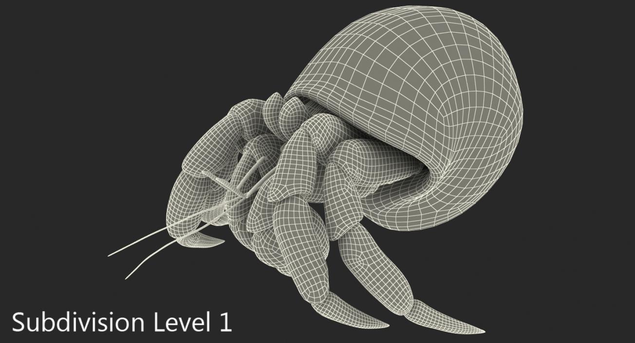 Hermit Crab Walking Pose 3D model