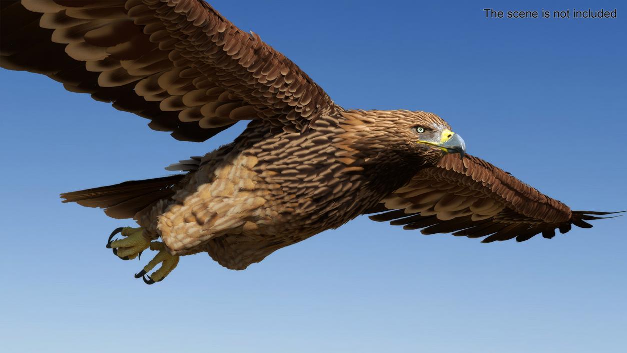 3D Flying Imperial Eagle