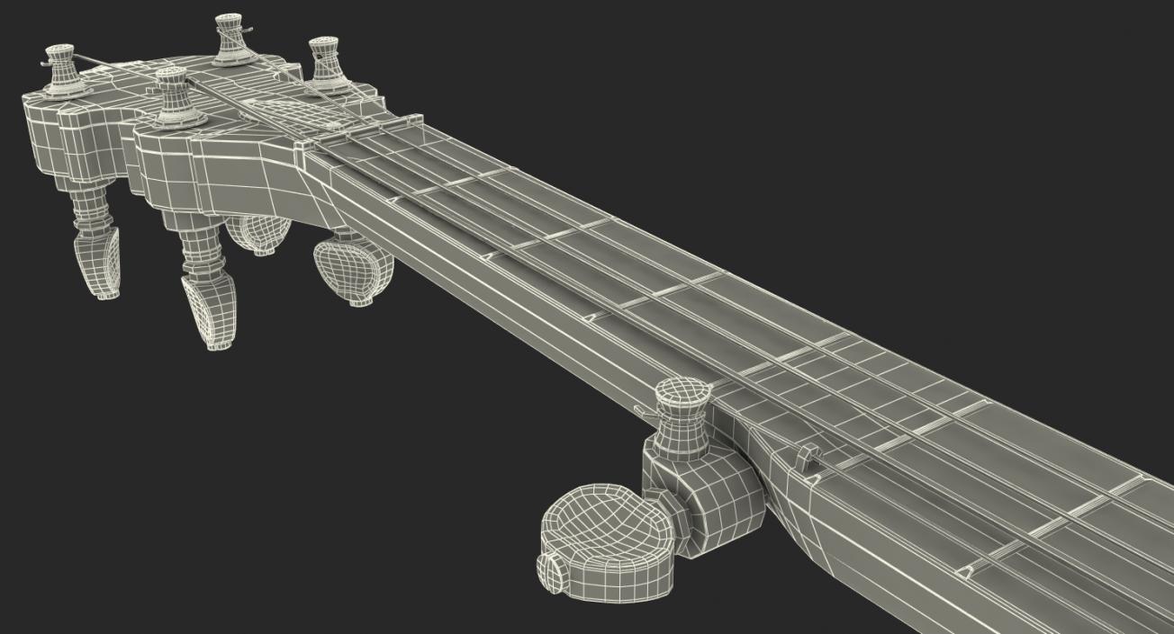 3D Julia Belle 5 String Banjo