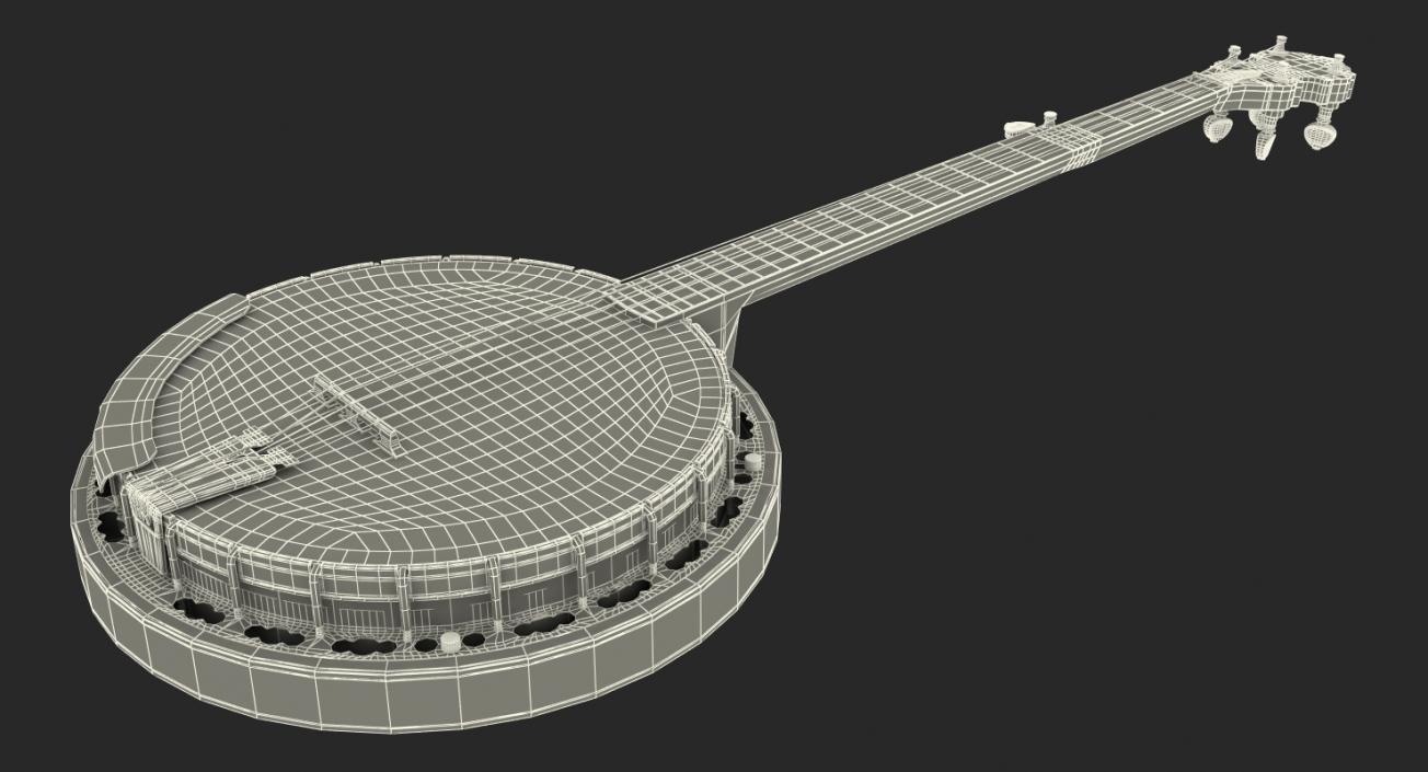 3D Julia Belle 5 String Banjo