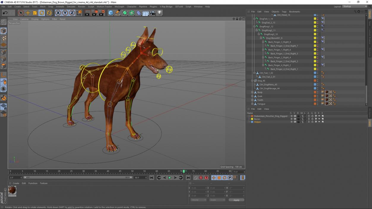 3D Doberman Dog Brown Rigged for Cinema 4D 2