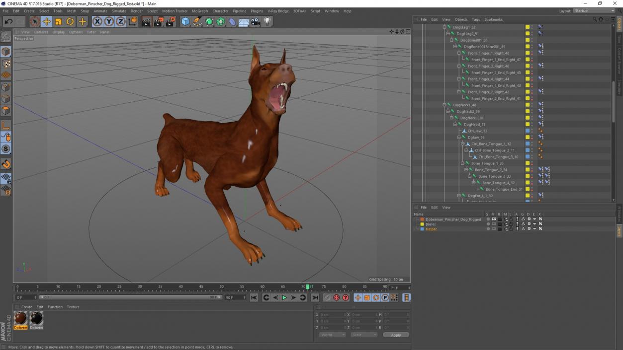 3D Doberman Dog Brown Rigged for Cinema 4D 2