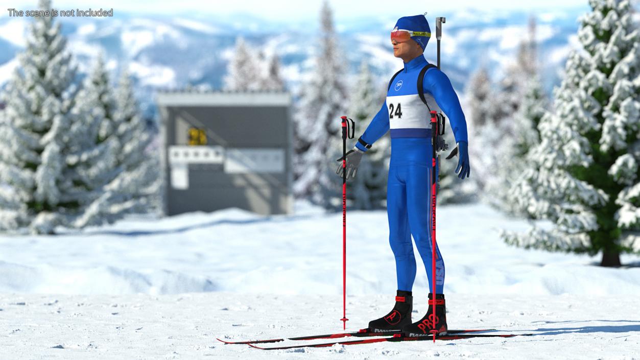 3D Biathlon Equipment Team USA Set