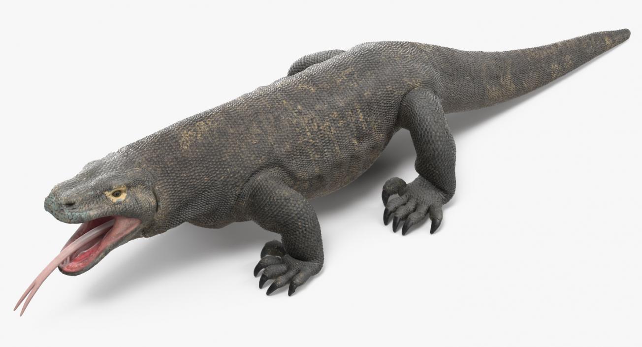 3D model Komodo Dragon Rigged