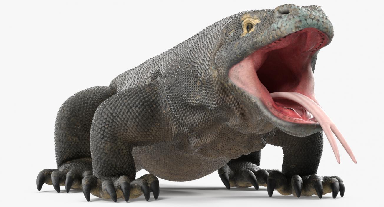 3D model Komodo Dragon Rigged