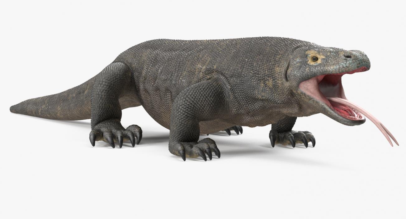 3D model Komodo Dragon Rigged