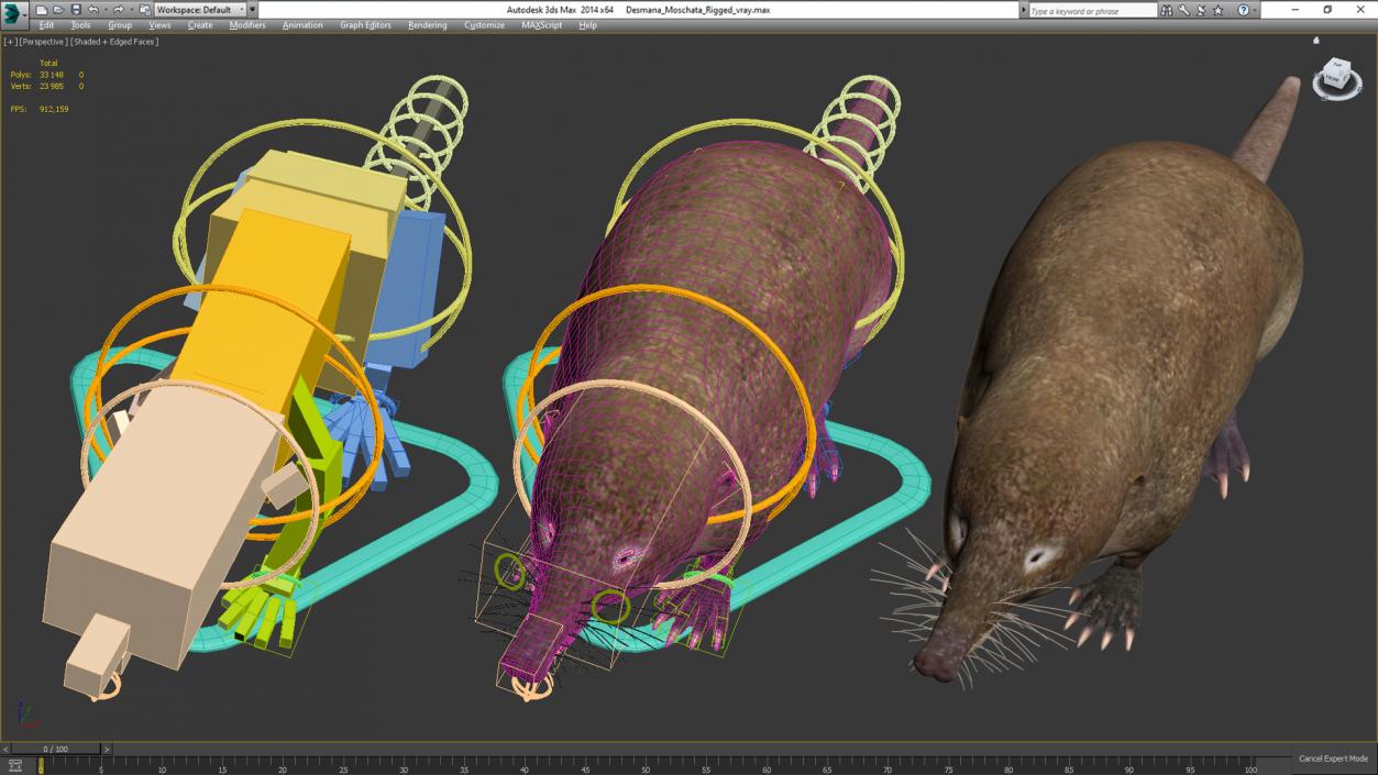 3D Desmana Moschata Rigged model