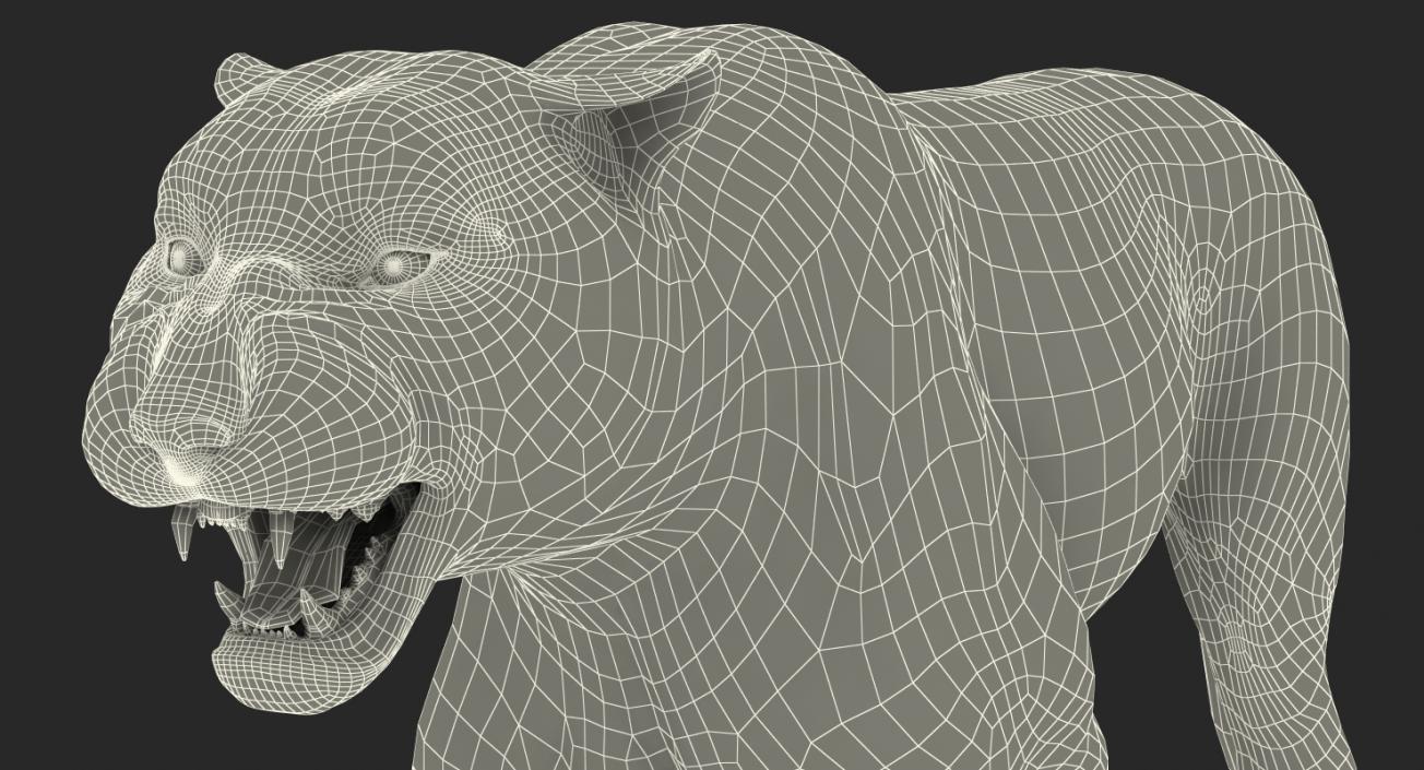 Tiger Roar with Fur 3D model