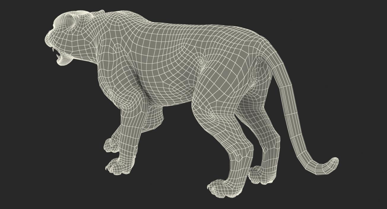 Tiger Roar with Fur 3D model