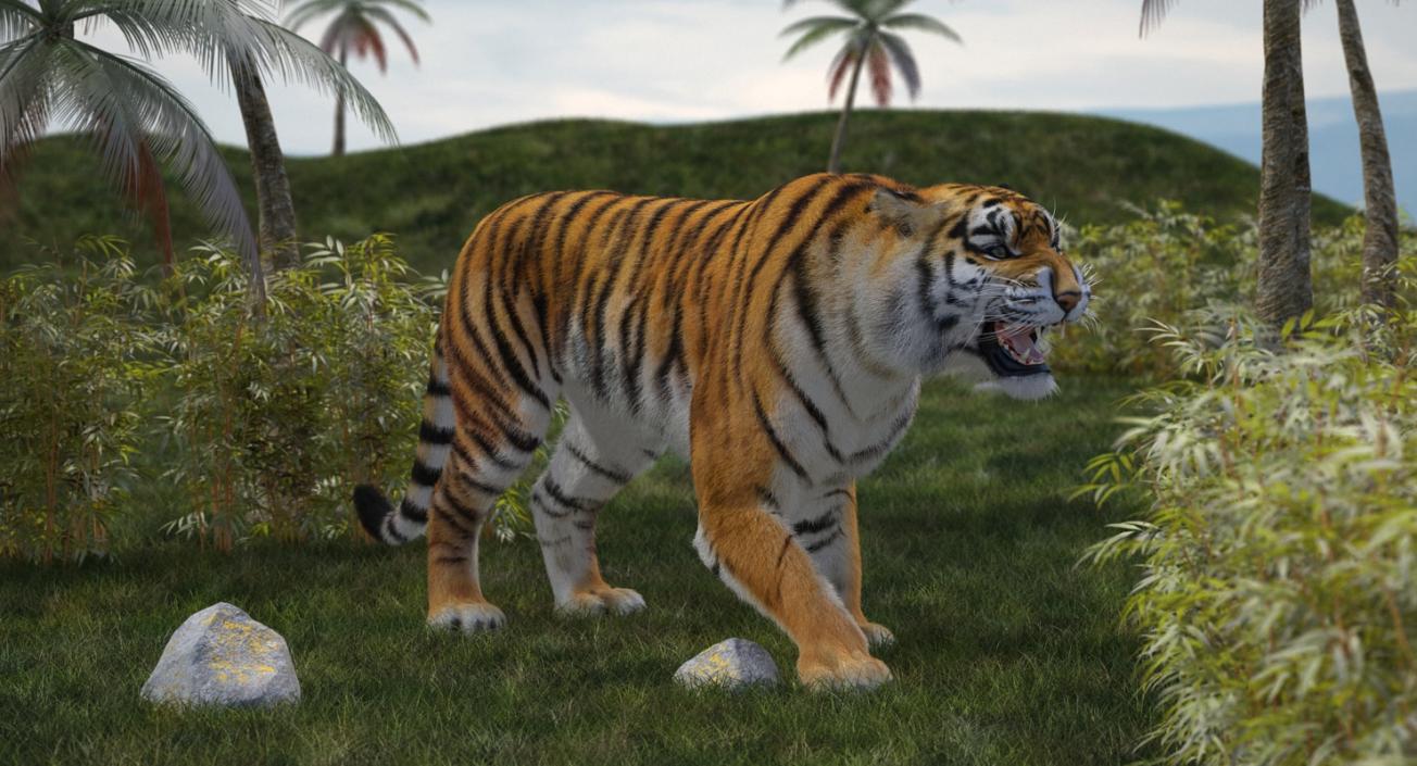 Tiger Roar with Fur 3D model