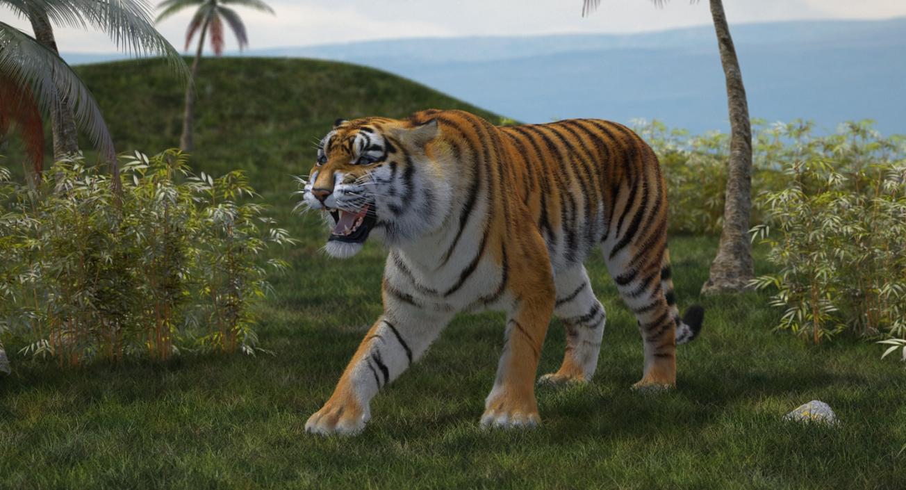 Tiger Roar with Fur 3D model