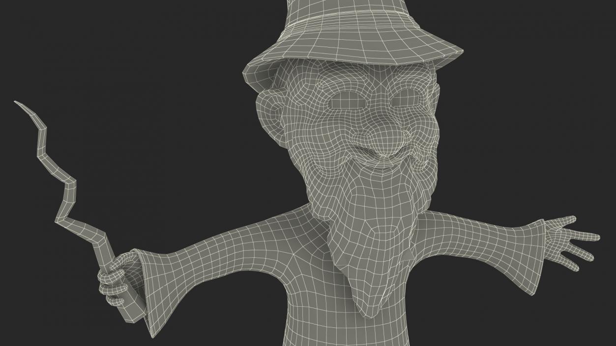 3D model Old Wizard Cartoon Character Rigged