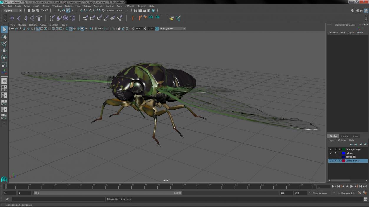 Cicada Rigged for Maya 3D