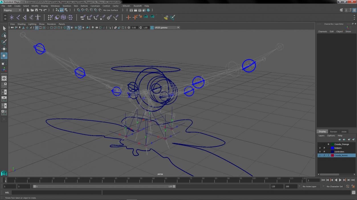 Cicada Rigged for Maya 3D
