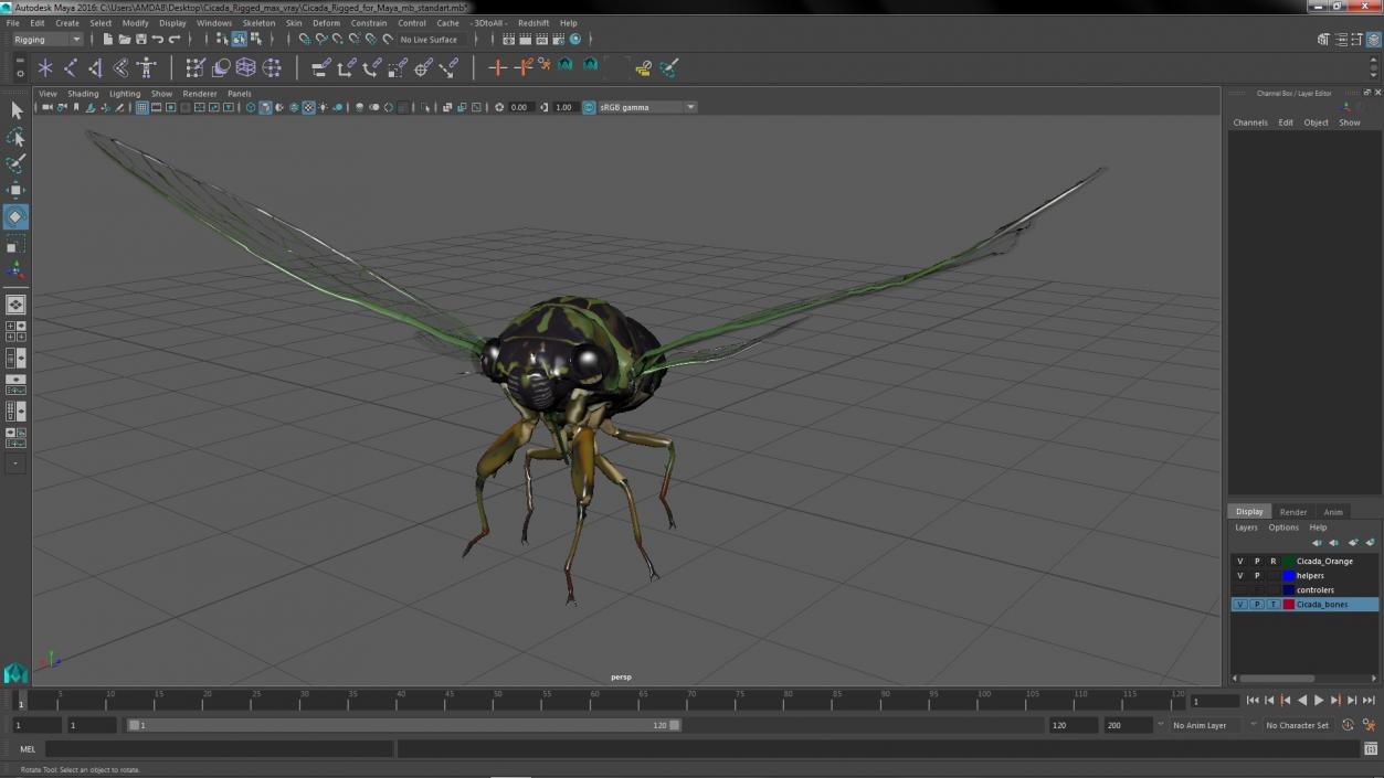 Cicada Rigged for Maya 3D