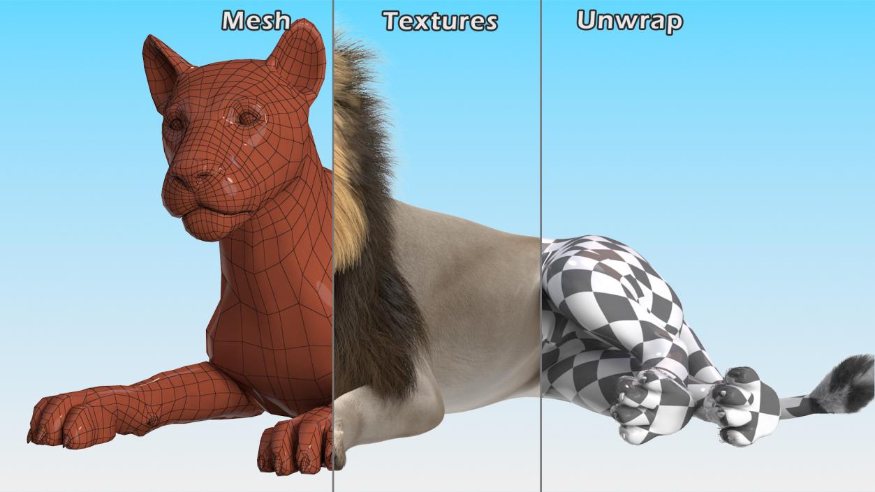 3D model White Male Lion Lying Pose Fur