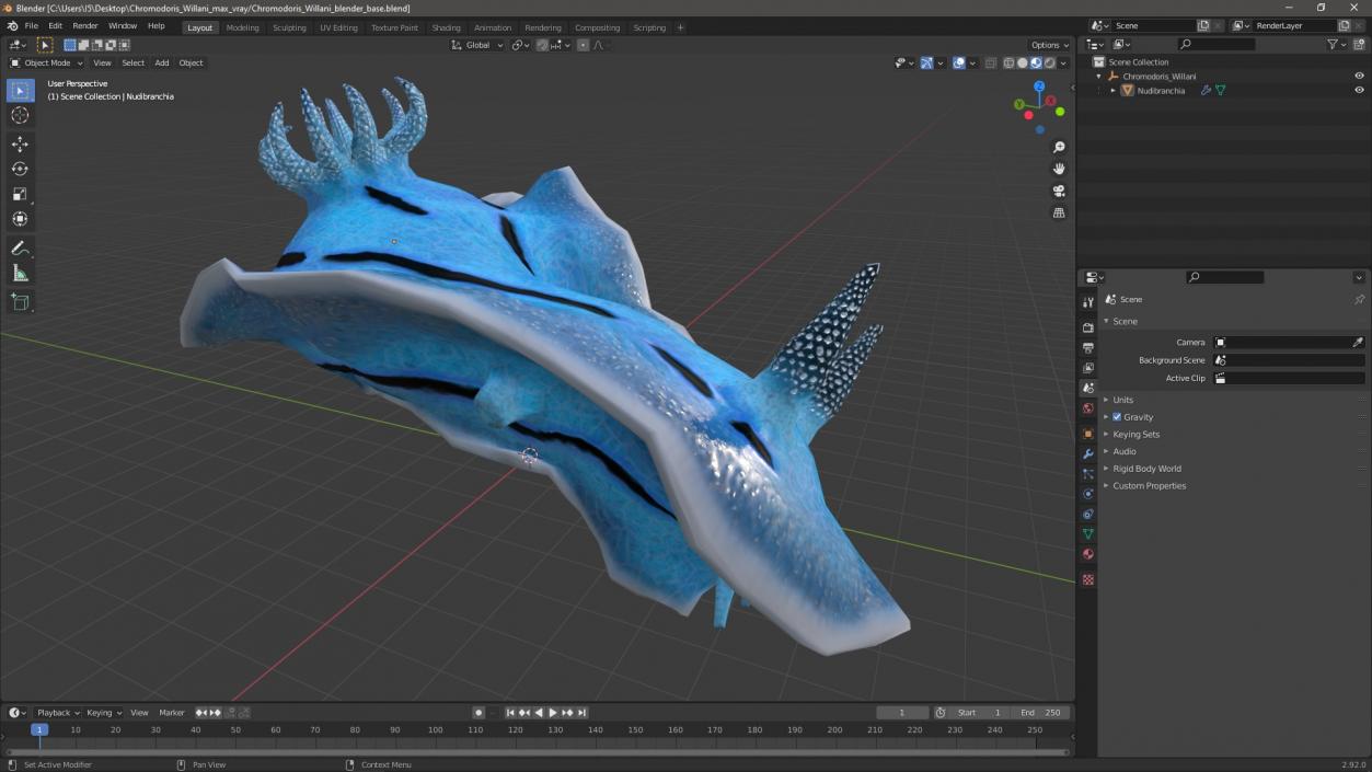 Chromodoris Willani 3D model