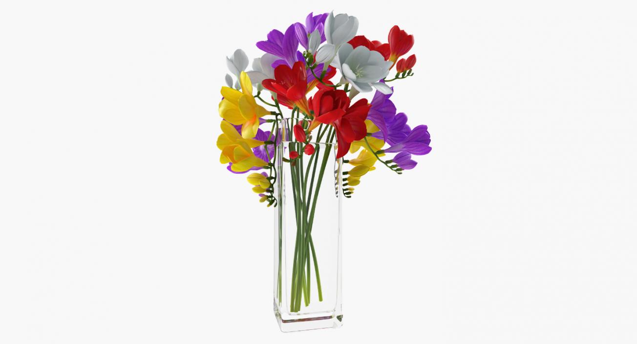 Flowers in Vases Collection 7 3D model