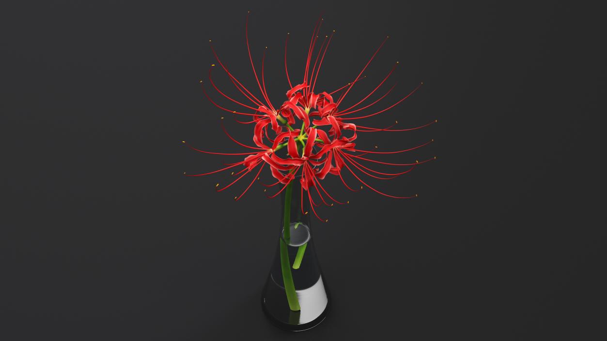 Flowers in Vases Collection 7 3D model