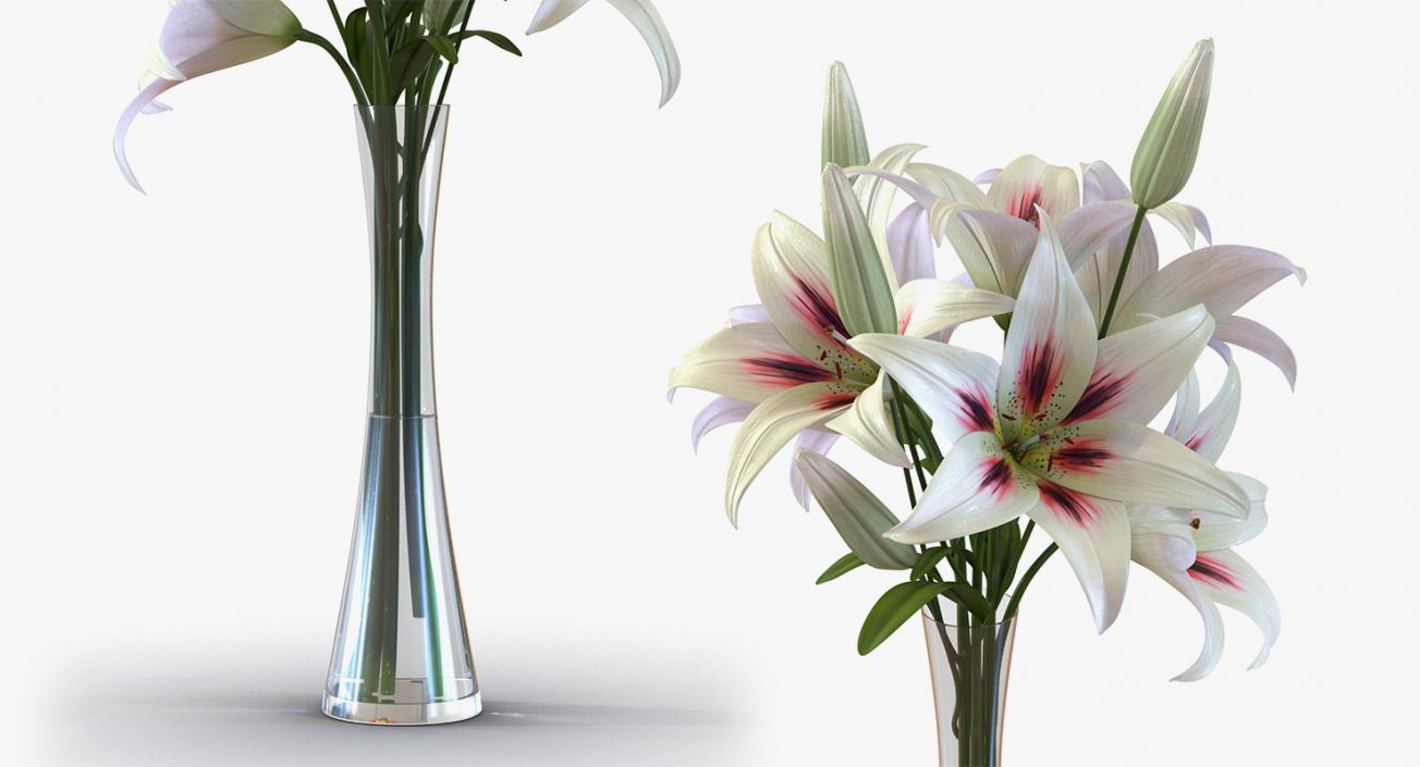 Flowers in Vases Collection 7 3D model