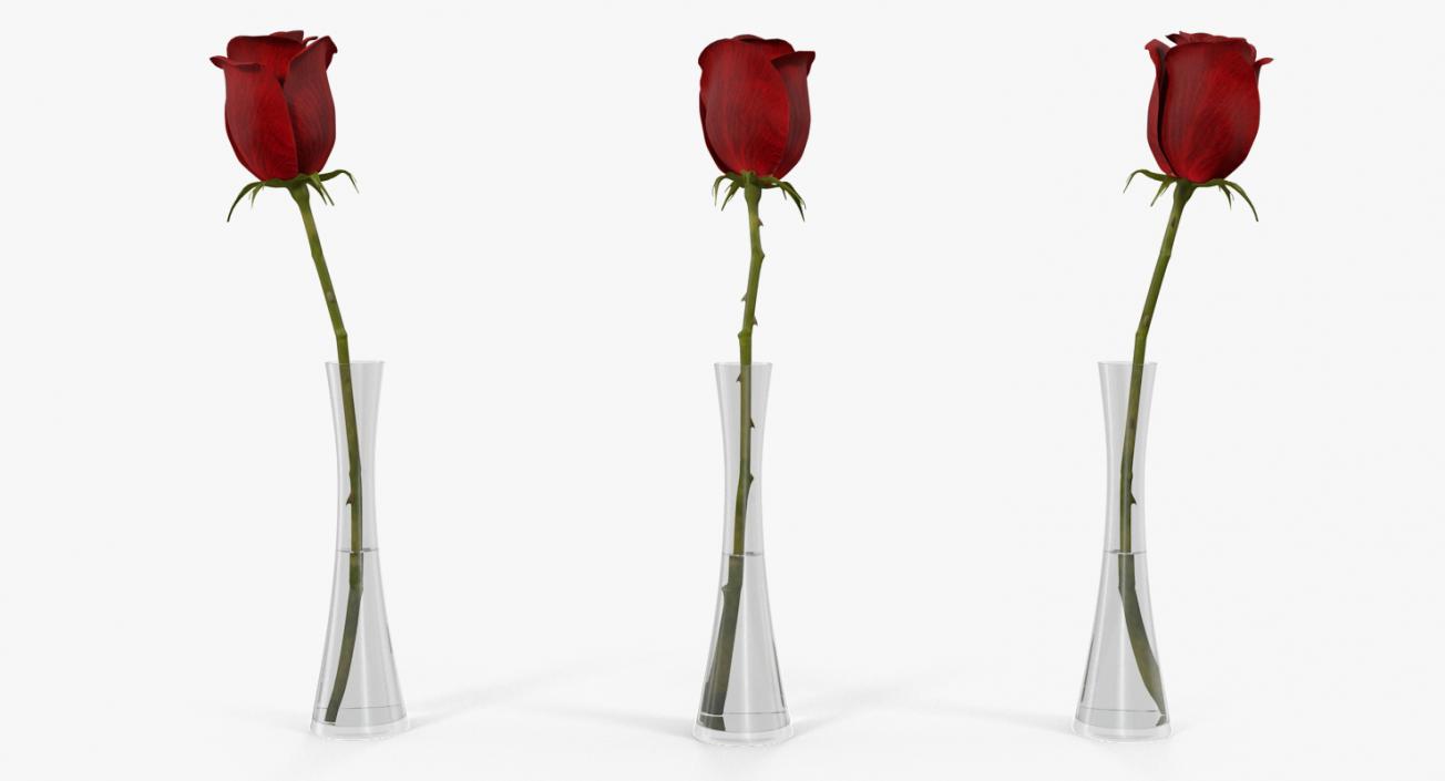 Flowers in Vases Collection 7 3D model