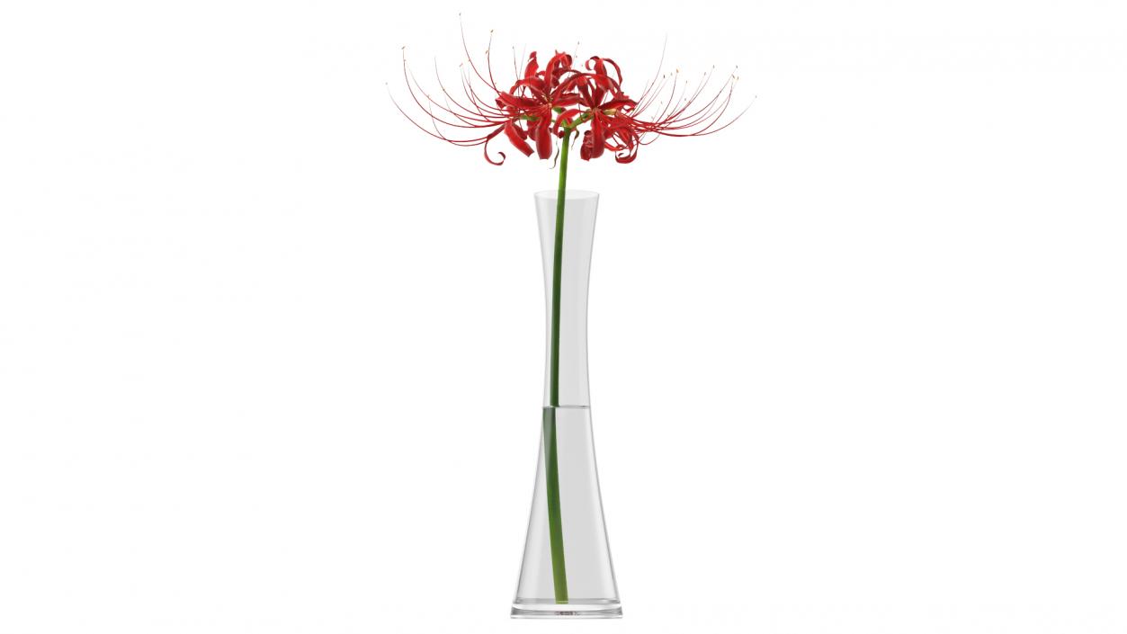 Flowers in Vases Collection 7 3D model