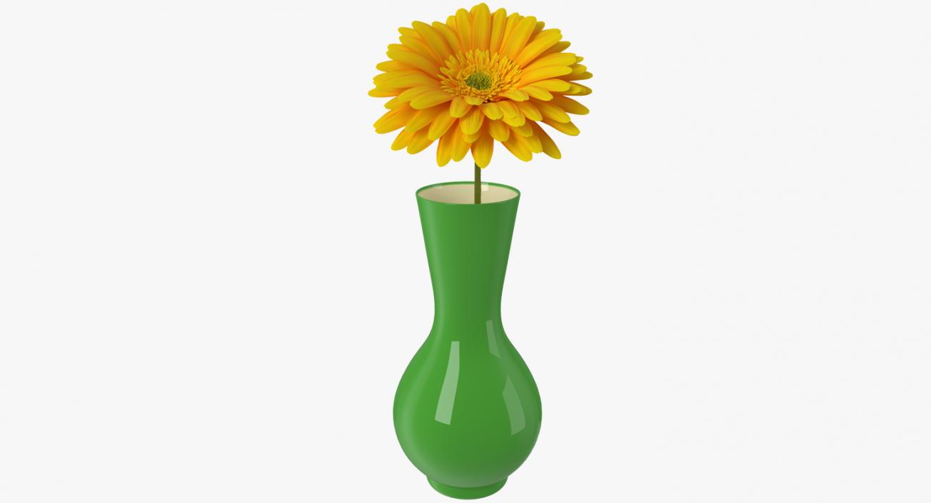 Flowers in Vases Collection 7 3D model