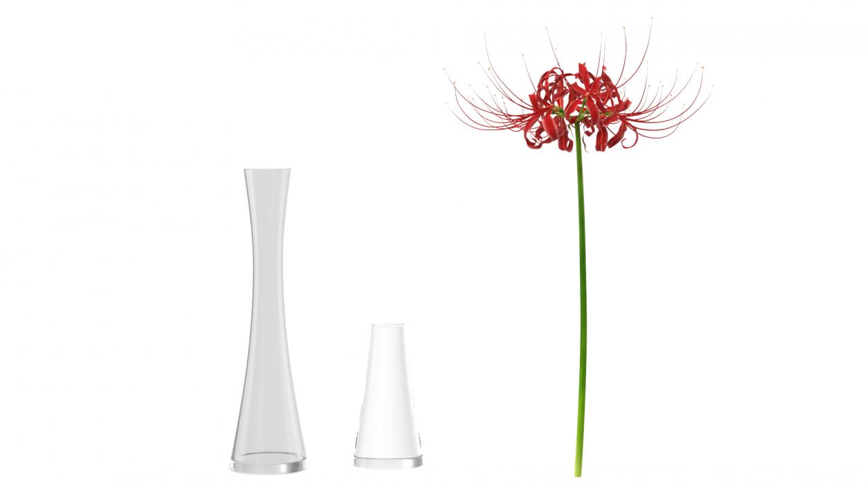 Flowers in Vases Collection 7 3D model