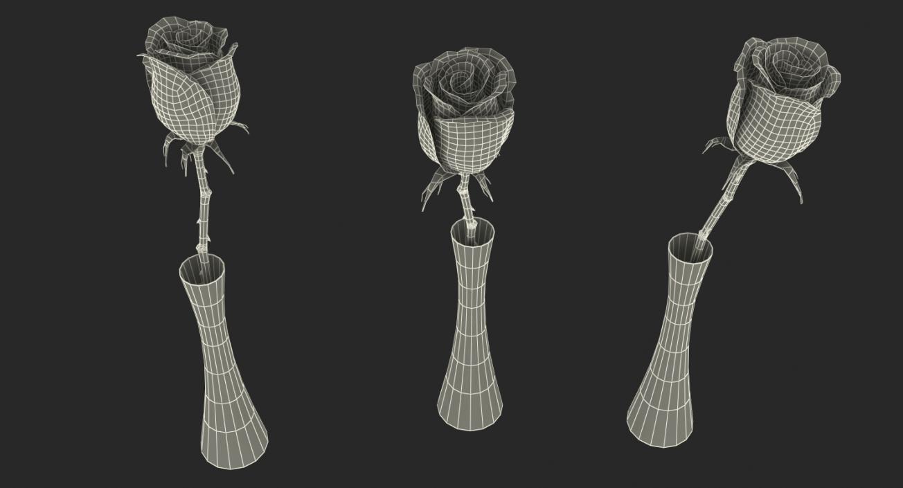 Flowers in Vases Collection 7 3D model