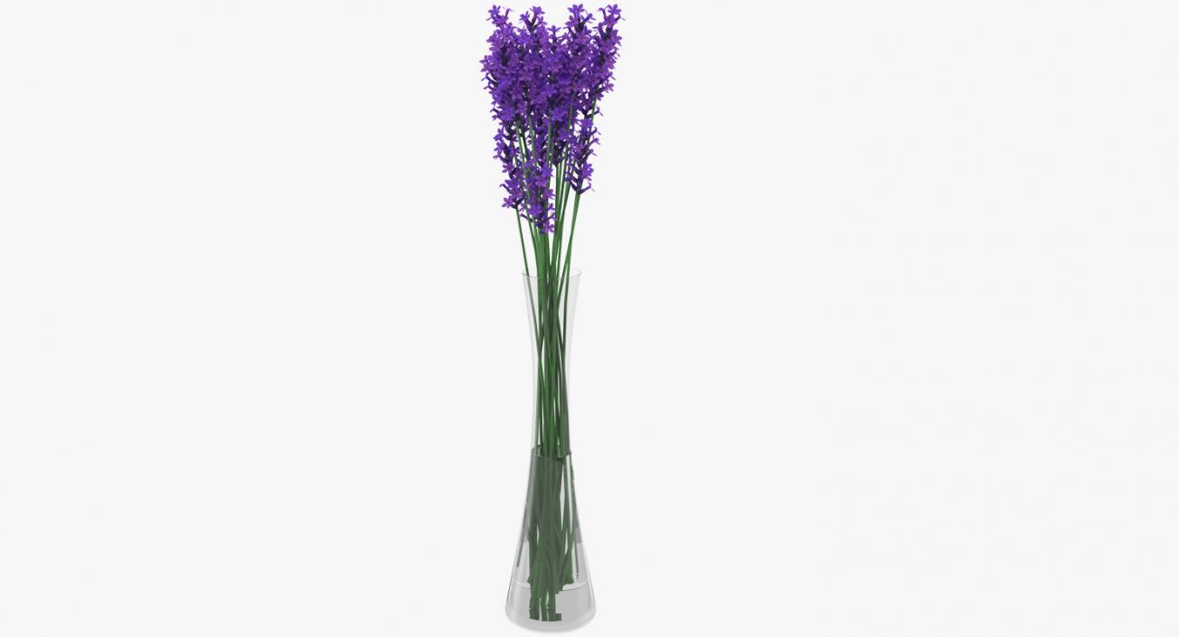 Flowers in Vases Collection 7 3D model