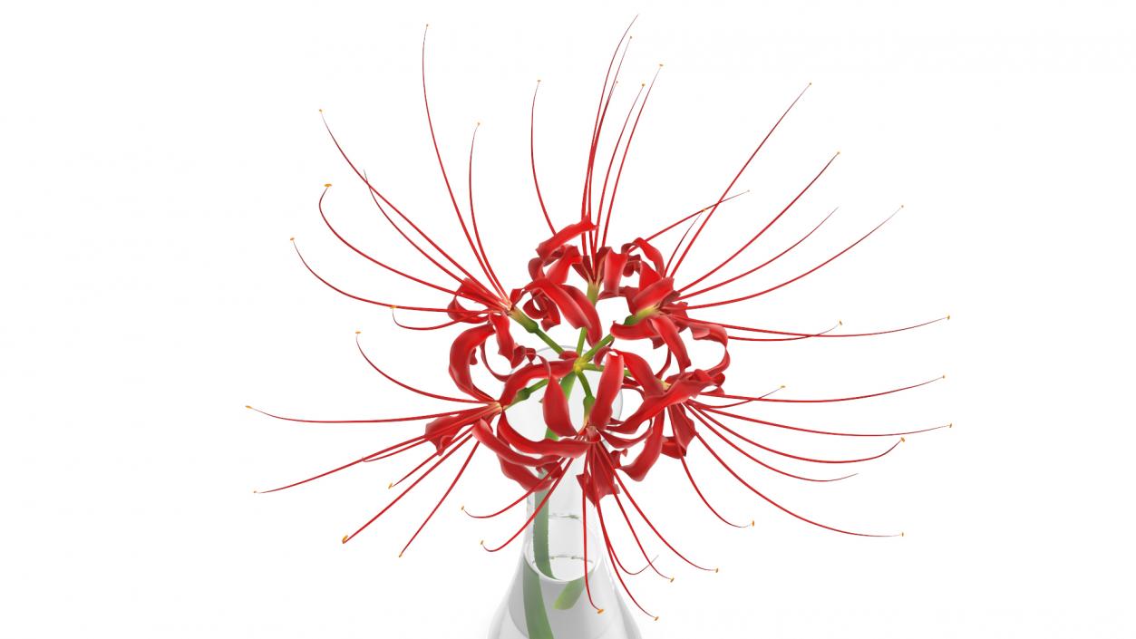 Flowers in Vases Collection 7 3D model