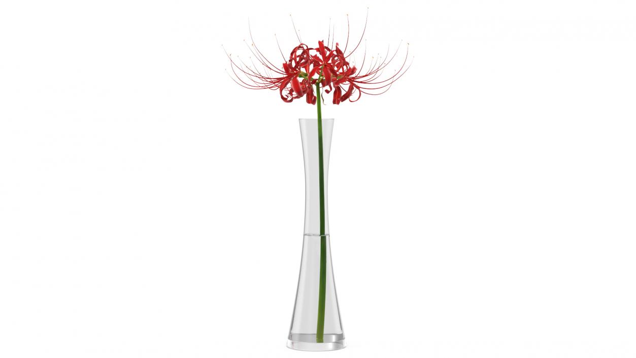 Flowers in Vases Collection 7 3D model