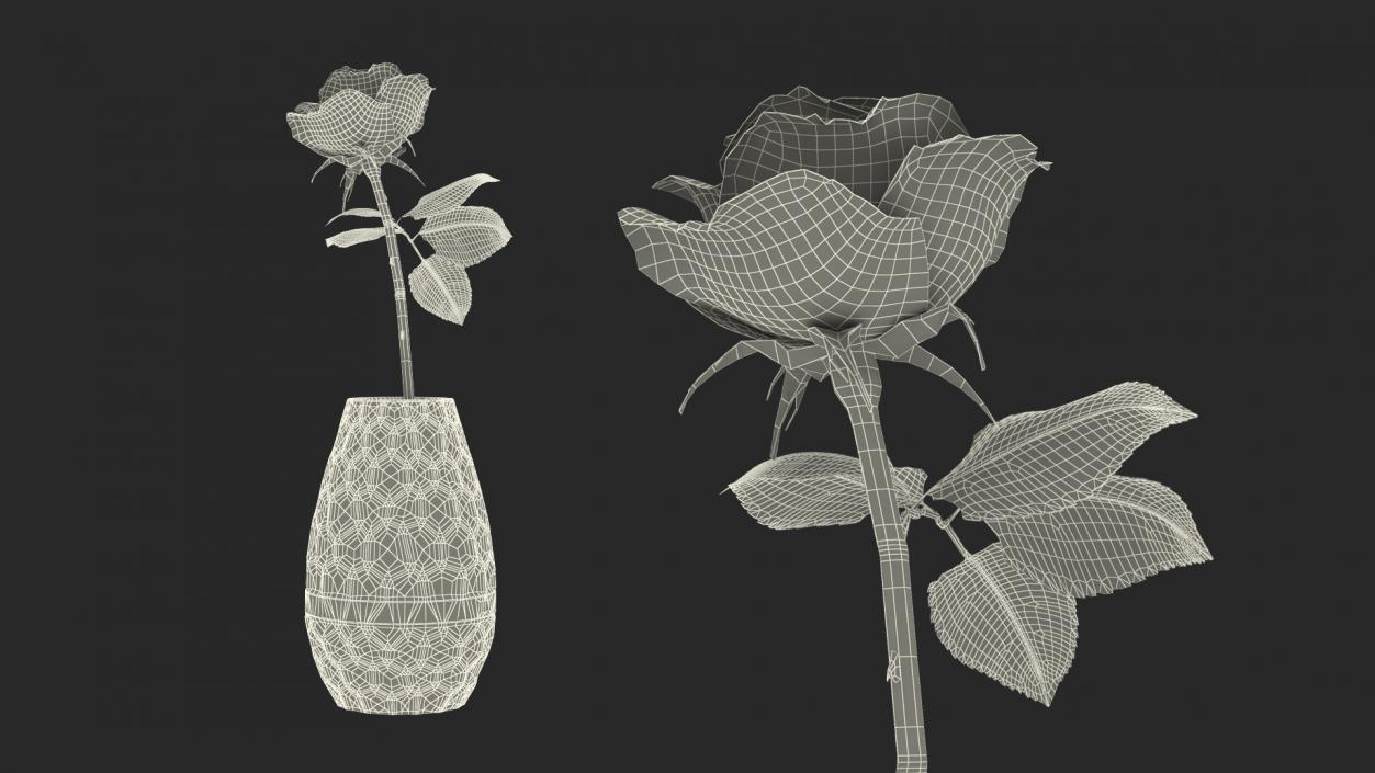 Flowers in Vases Collection 7 3D model