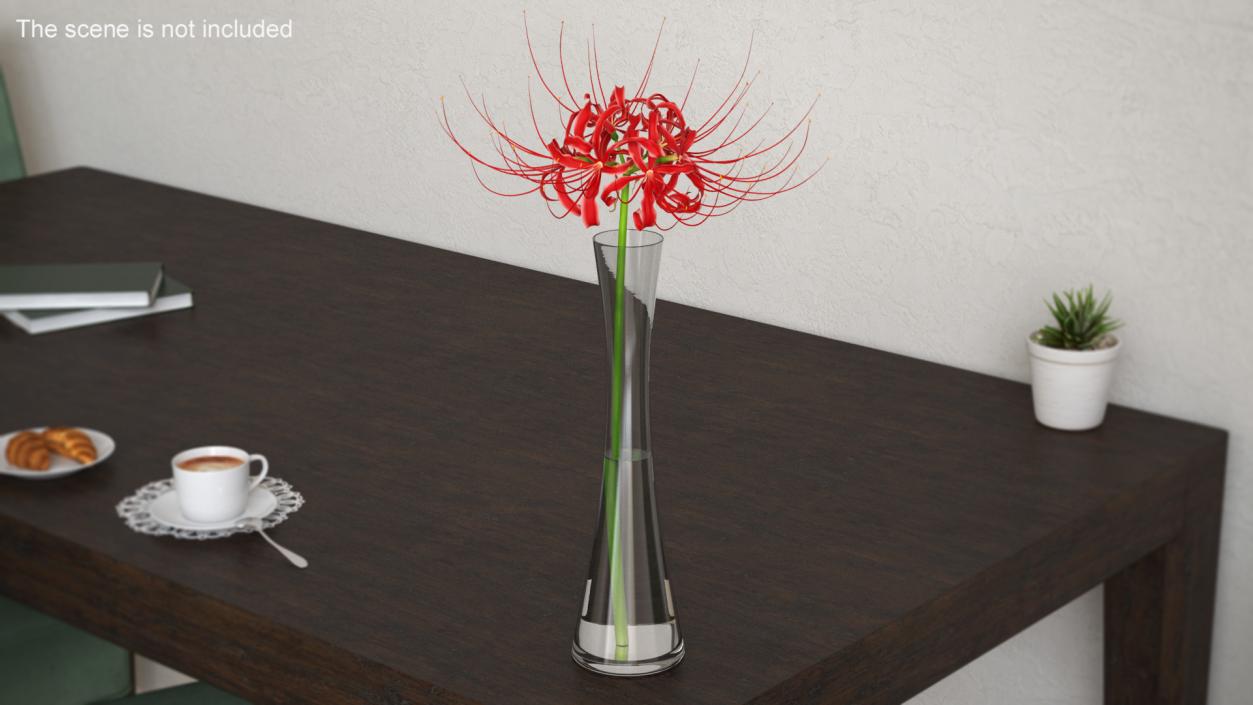 Flowers in Vases Collection 7 3D model