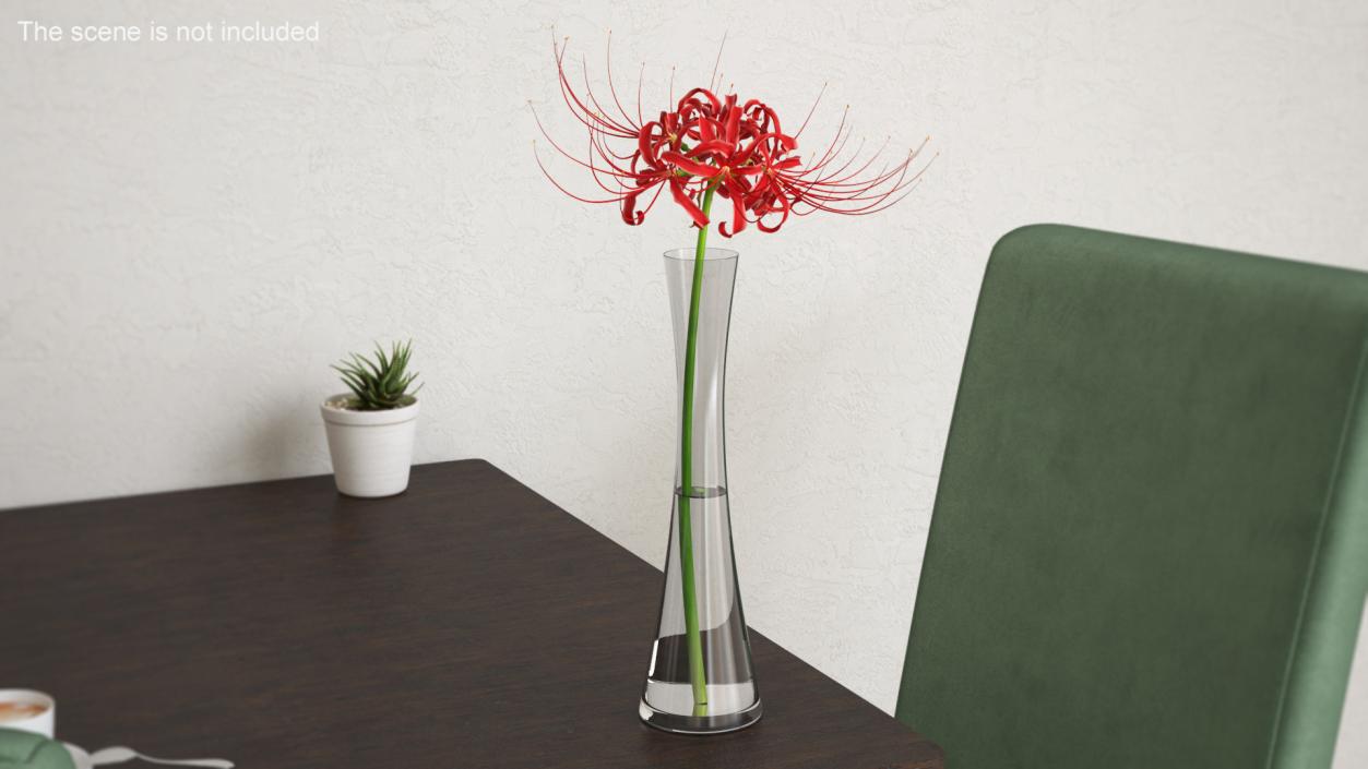 Flowers in Vases Collection 7 3D model