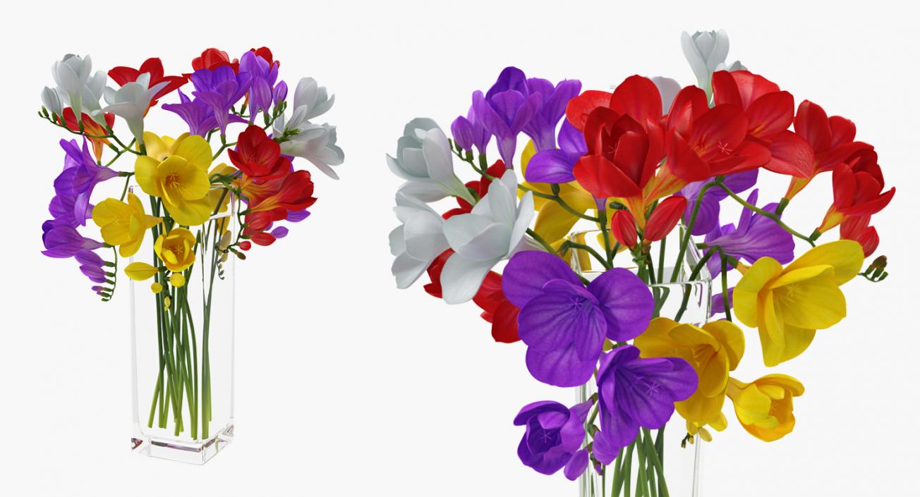 Flowers in Vases Collection 7 3D model