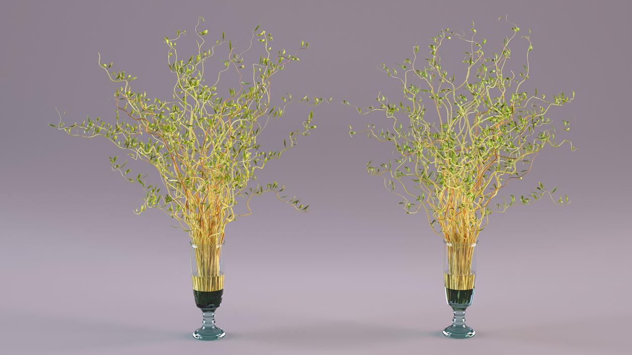 Flowers in Vases Collection 7 3D model