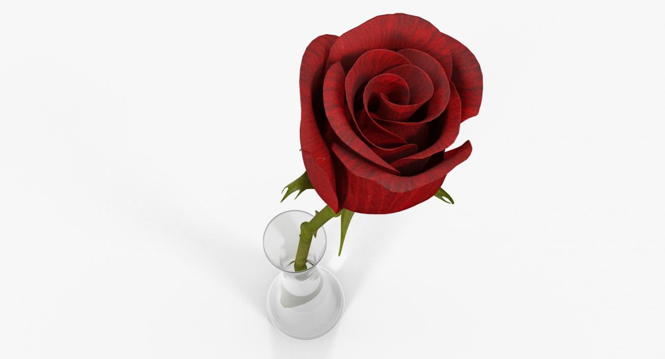 Flowers in Vases Collection 7 3D model