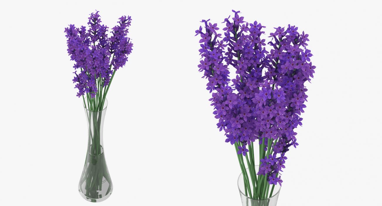 Flowers in Vases Collection 7 3D model