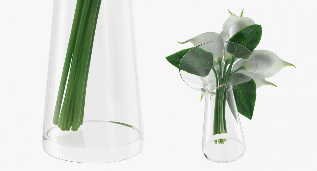 Flowers in Vases Collection 7 3D model