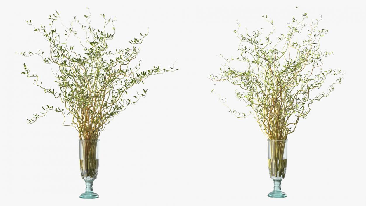 Flowers in Vases Collection 7 3D model