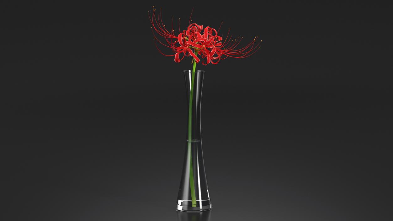 Flowers in Vases Collection 7 3D model