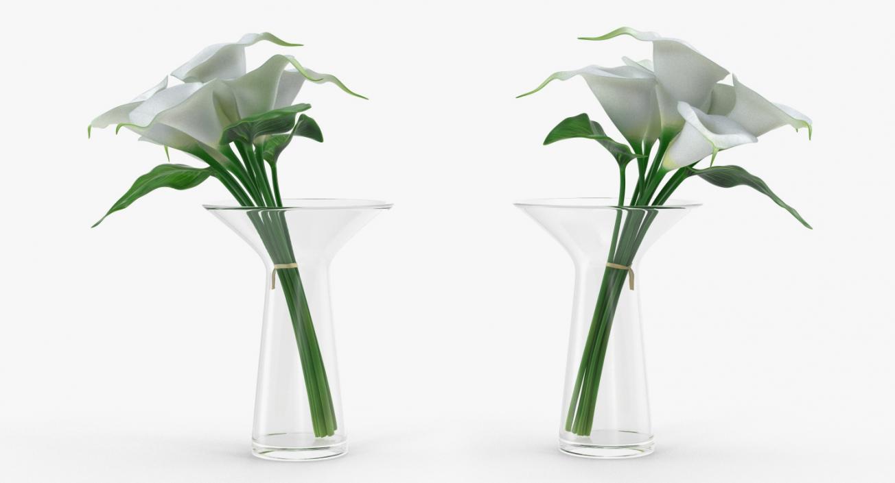 Flowers in Vases Collection 7 3D model