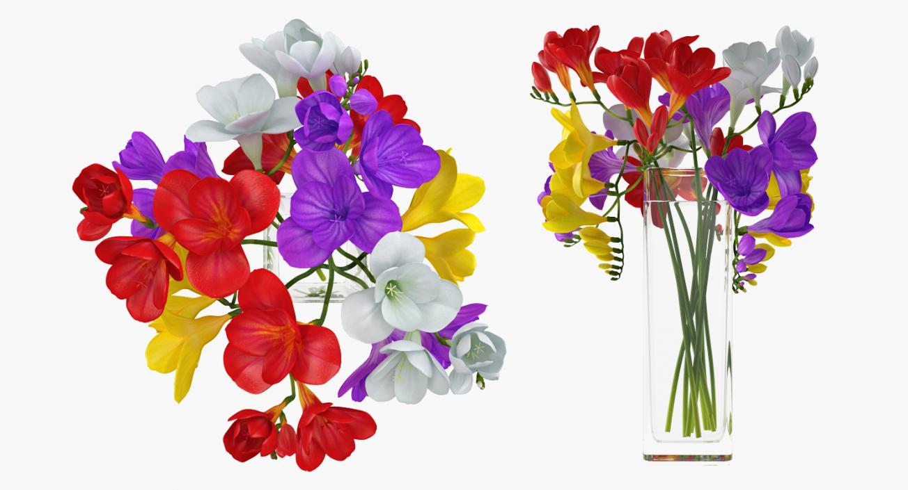 Flowers in Vases Collection 7 3D model