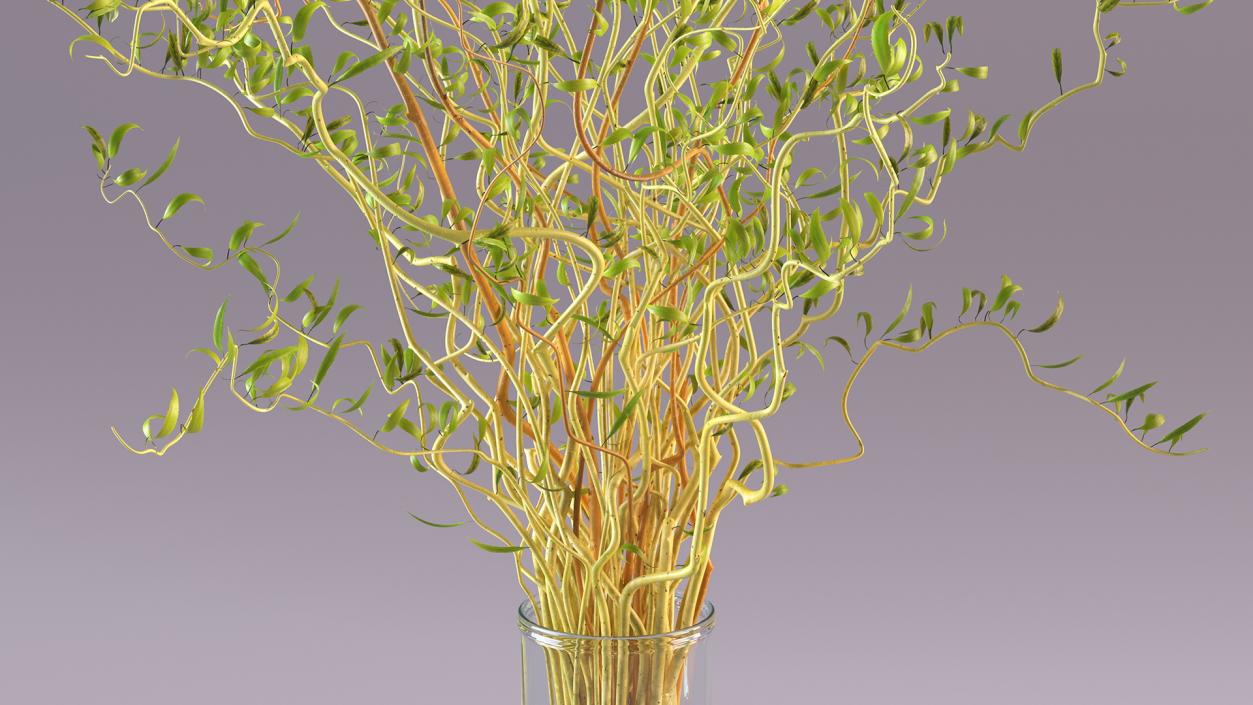 Flowers in Vases Collection 7 3D model